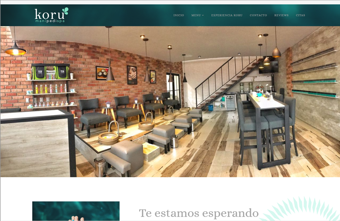 koruspa.com.mx Portfolio